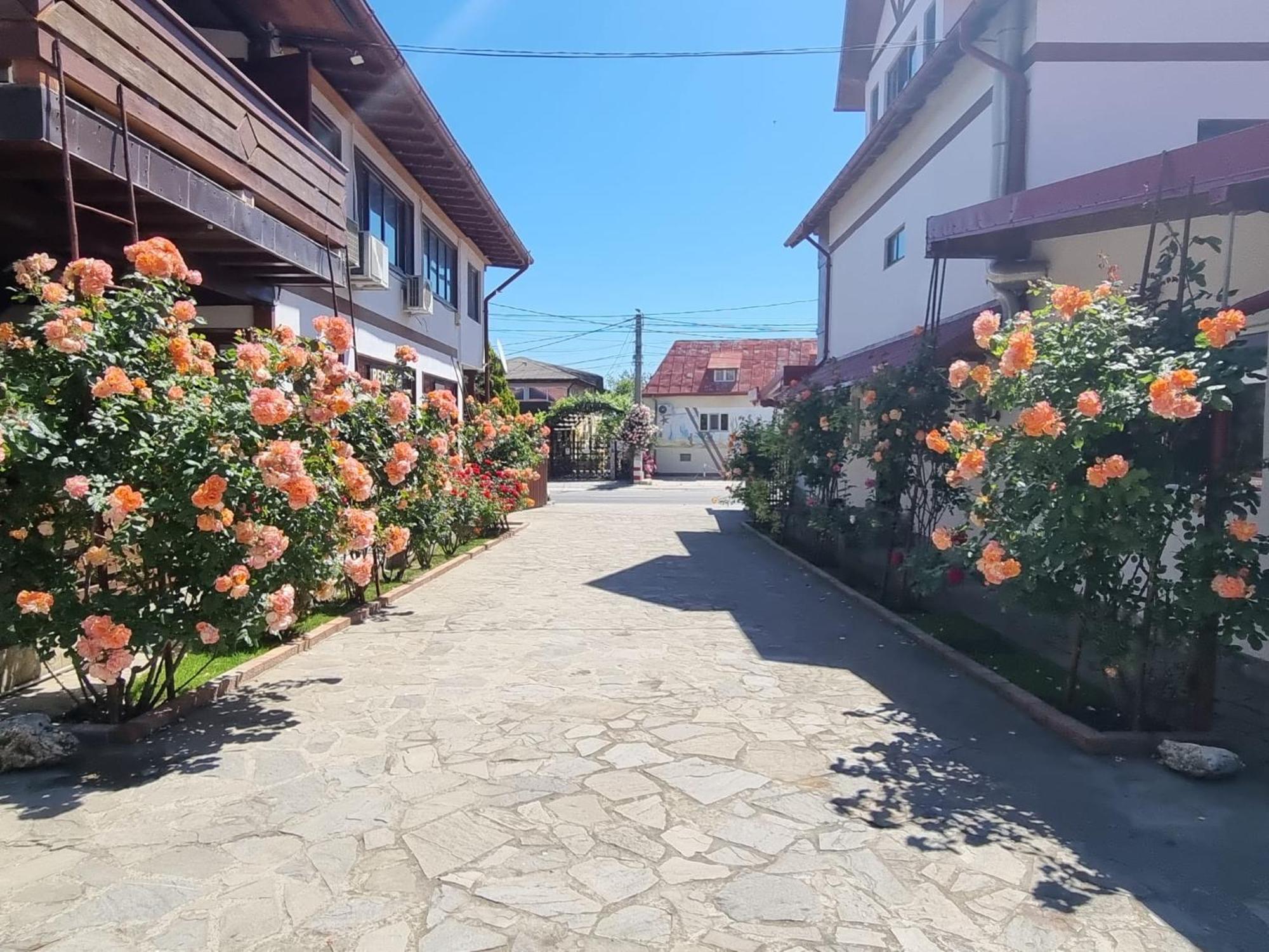 Casa Luca Hotel Vama Veche Luaran gambar